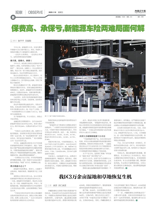 西藏青年报观察