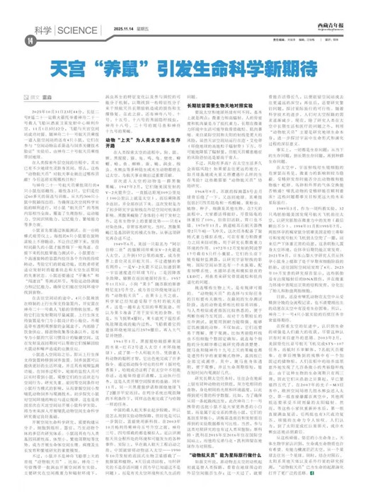 �������걨��ѧ