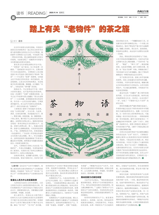 �������걨����