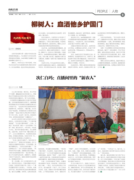 �������걨����