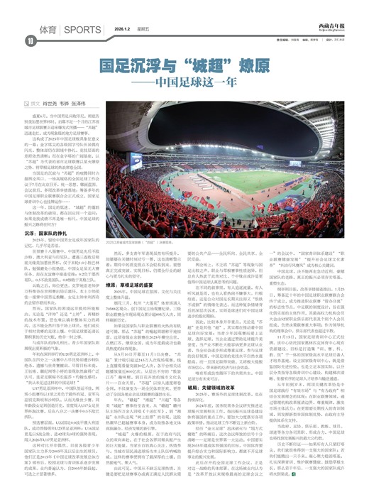 �������걨����