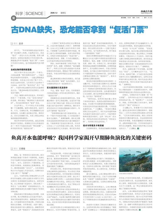 �������걨��ѧ