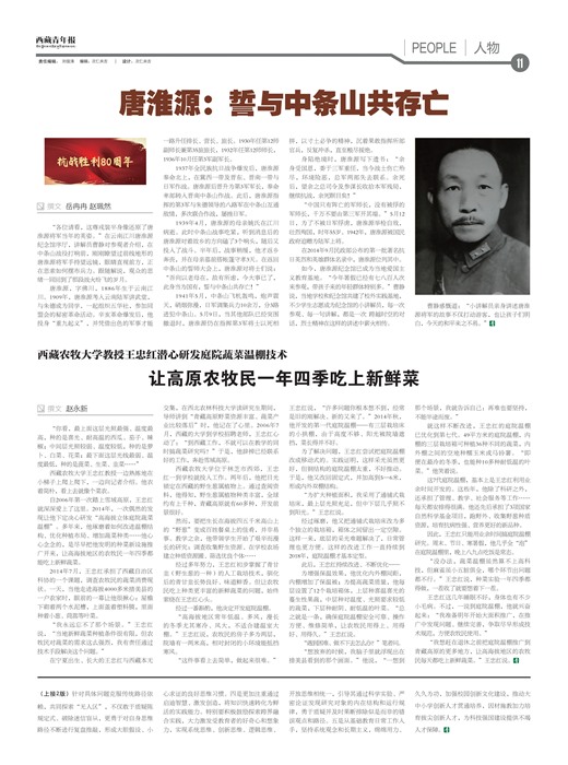 �������걨����