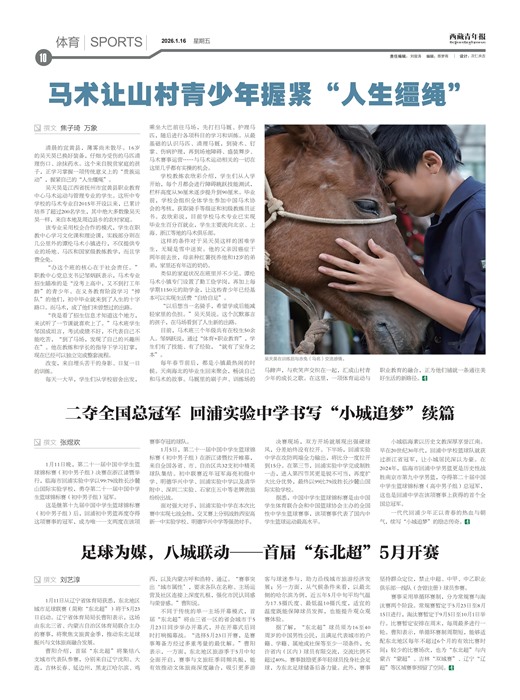 �������걨����