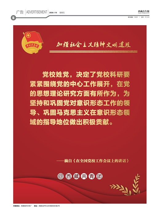 �������걨���