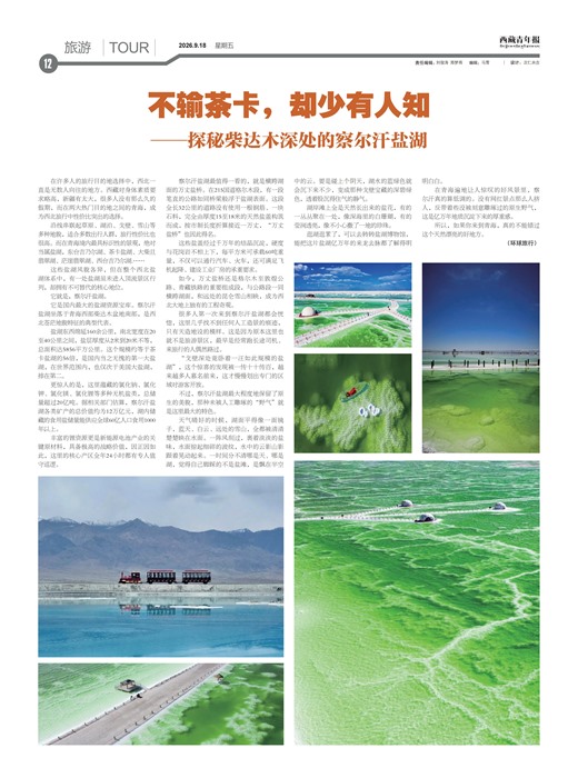 �������걨����
